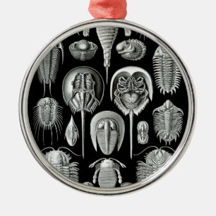 Trilobites and Fossils in Black and White Metalen Ornament