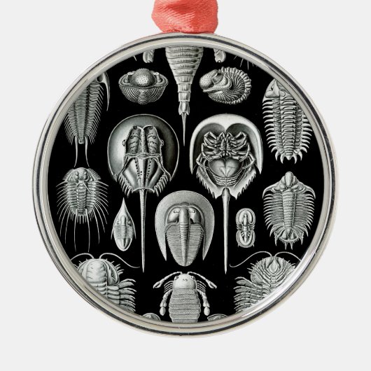 Trilobites and Fossils in Black and White Metalen Ornament (Voorkant)