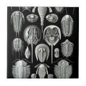 Trilobites and Fossils in Black and White Tegeltje (Voorkant)
