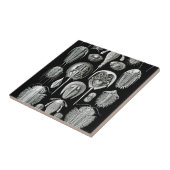 Trilobites and Fossils in Black and White Tegeltje (Zijkant)