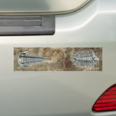 Trilobites-Bumpersticker Bumpersticker (Op auto)