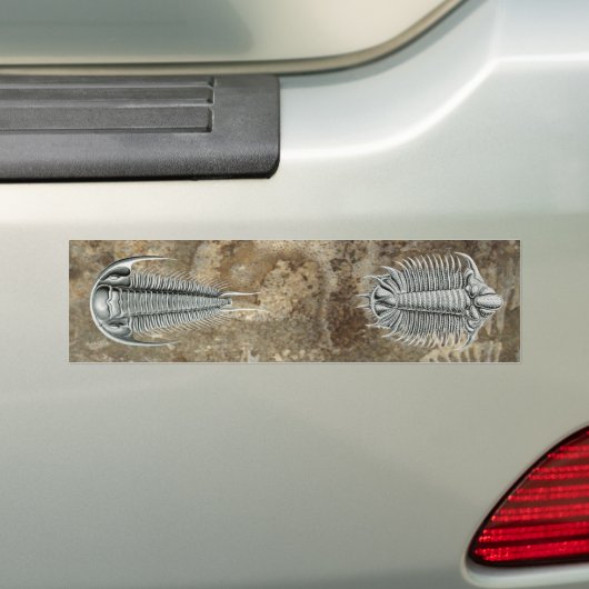 Trilobites-Bumpersticker Bumpersticker (Op auto)
