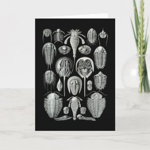 Trilobites & Sea Scorpions Kaart