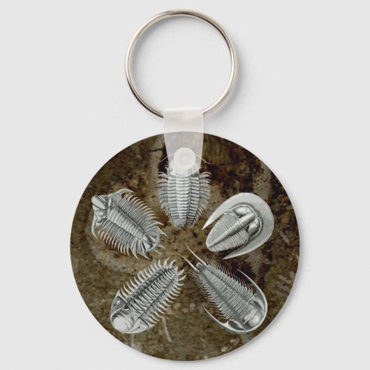 Trilobites Sleutelhanger (Voorkant)