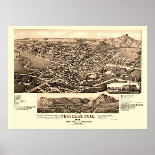 Trinidad, CO Panoramic Map - 1882 Poster (Voorkant)