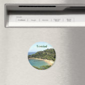 Trinidad magneet (Insitu (Vaatwasser))