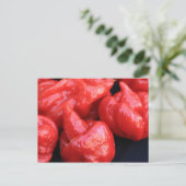 Trinidad Moruga Scorpion Chili Pepper Briefkaart (Staand voorkant)