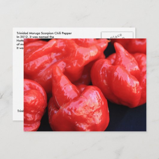 Trinidad Moruga Scorpion Chili Pepper Briefkaart (Voorkant / Achterkant)