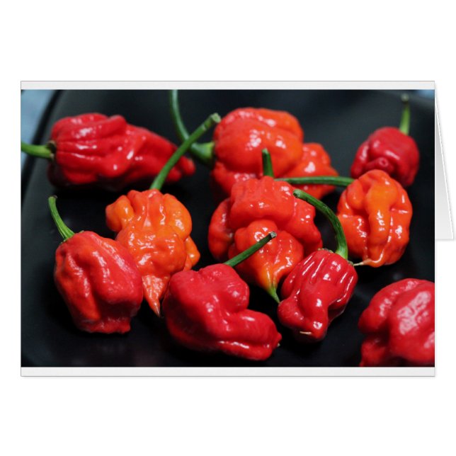 Trinidad Scorpion Hottest Chili (Voorkant Horizontaal)