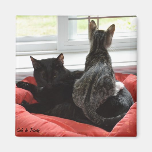 Trinity & Cali Magneet (Voorkant)