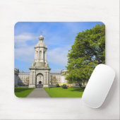 Trinity College in Dublin Muismat (Met muis)