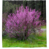 Trinity County Red Bud tree..... Douchegordijn (Voorkant)