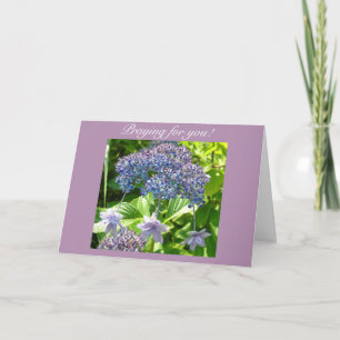 Trinity dat voor jou predikt kaart