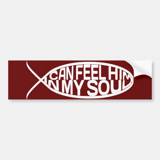 Trinity Fishing I can've in my Soul Bumpersticker (Voorkant)