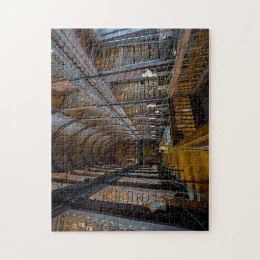 Trinity Library Dublin Ierland. Legpuzzel (Verticaal)