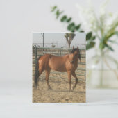 "Trinket" Briefkaart (Staand voorkant)