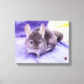 Trinket! - Chinchilla Canvas Afdruk