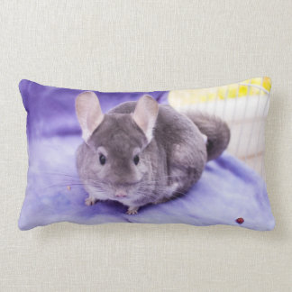 Trinket. - Chinchilla Pillow Kussen