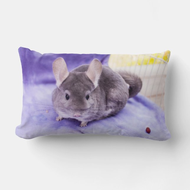 Trinket. - Chinchilla Pillow Kussen (Voorkant)