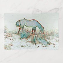 Trinket Trays voor het grazen van wilde paarden