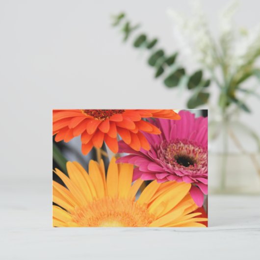 Trio Briefkaart (Staand voorkant)