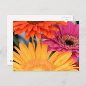 Trio Briefkaart (Voorkant / Achterkant)