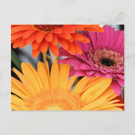 Trio Briefkaart (Voorkant)