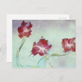 Trio Briefkaart (Voorkant / Achterkant)