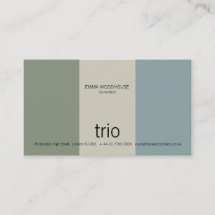 Trio Cadet Blue, Zee Green & Grey Visitekaartje