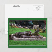 Trio in Iguana Park, Guayaquil, Ecuador Briefkaart (Voorkant / Achterkant)