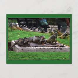 Trio in Iguana Park, Guayaquil, Ecuador Briefkaart