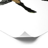 Trio in Tolt Foto Afdruk (Hoek)