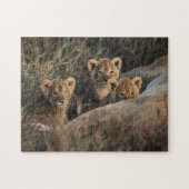 Trio of Six-Bond Lion cubs sitting Legpuzzel (Horizontaal)
