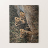 Trio of Six-Bond Lion cubs sitting Legpuzzel (Verticaal)
