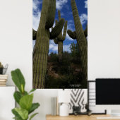 Trio saguaro cactus Arizona woestijn blauwe lucht Poster (Thuiskantoor)