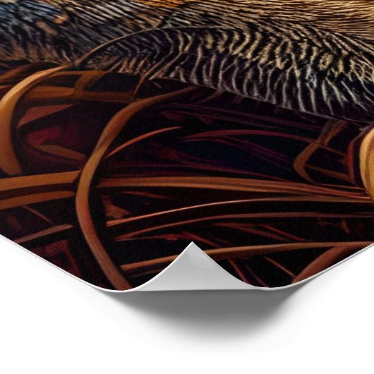 Trio van Apen Frolicking Poster (Hoek)