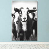 Trio van Baby Geiten Monochromatische Portret Canvas Afdruk (Insitu (Houten vloer))