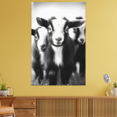 Trio van Baby Geiten Monochromatische Portret Canvas Afdruk (Insitu (Woonkamer))