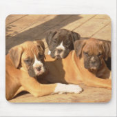 Trio van boxer puppies mousepad muismat (Voorkant)