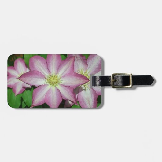Trio van Clematis Pink en White Spring Vine Bagagelabel (Voorkant horizontaal)
