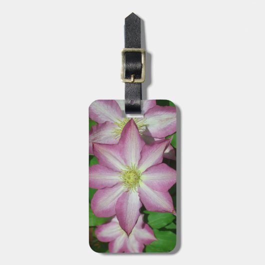 Trio van Clematis Pink en White Spring Vine Bagagelabel (Voorkant verticaal)