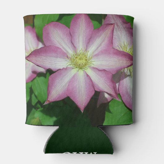 Trio van Clematis Pink en White Spring Vine Blikjeskoeler (Achterkant)