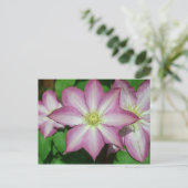 Trio van Clematis Pink en White Spring Vine Briefkaart (Staand voorkant)