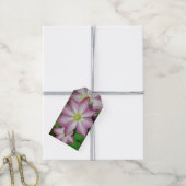 Trio van Clematis Pink en White Spring Vine Cadeaulabel (Met Touw)