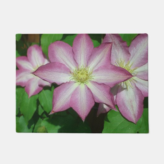 Trio van Clematis Pink en White Spring Vine Deurmat (Voorkant)