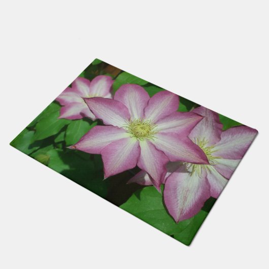 Trio van Clematis Pink en White Spring Vine Deurmat (Schuin)