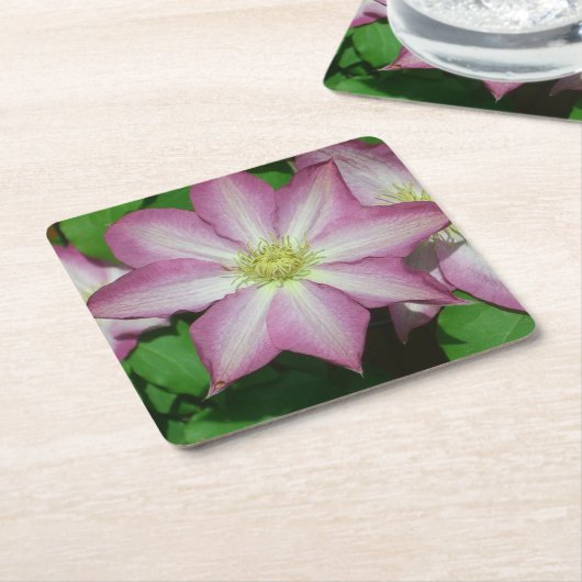 Trio van Clematis Pink en White Spring Vine Kartonnen Onderzetters (Schuin)