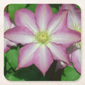 Trio van Clematis Pink en White Spring Vine Kartonnen Onderzetters (Voorkant)