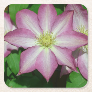 Trio van Clematis Pink en White Spring Vine Kartonnen Onderzetters