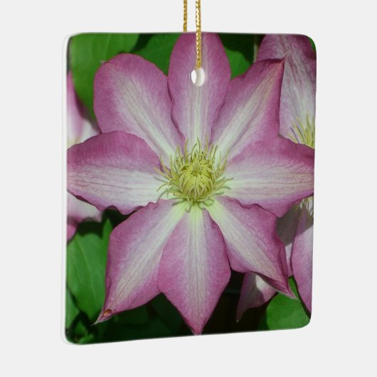 Trio van Clematis Pink en White Spring Vine Keramisch Ornament (Rechts)